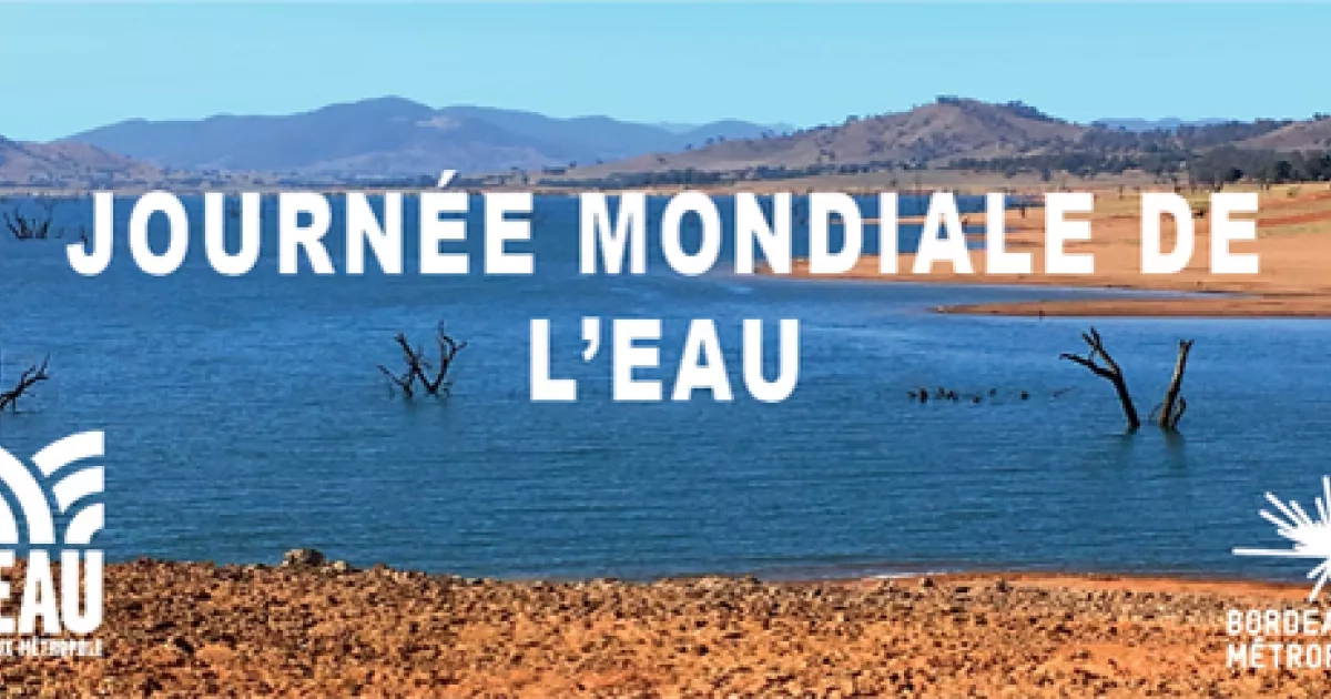 Journée mondiale de l