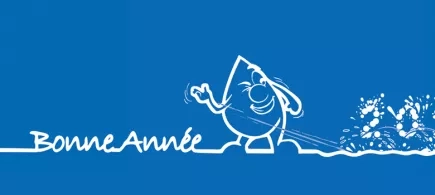Bonne Année