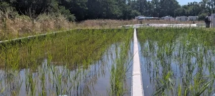 Eaux non conventionnelles