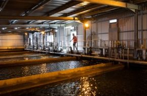 infrastructures et procédés