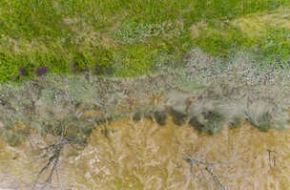 Transition écologique © © JB Menges – Bordeaux Métropole