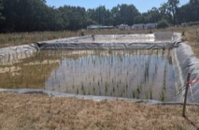 Eaux non conventionnelles