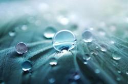 goutte d'eau © Bordeaux Métropole