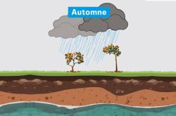 Les bons gestes pour économiser l'eau © © Régie Bordeaux Métropole