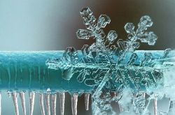 _ © © Régie de L'Eau Bordeaux Métropole