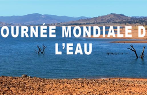 illustration journée mondiale de l'eau