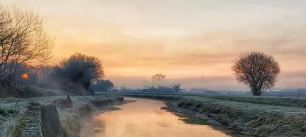 _